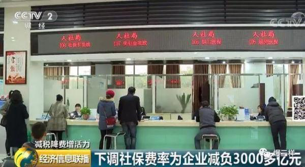5月新规来了解一下！社保缴费要降啦，可以带宠物直接入境，还有…