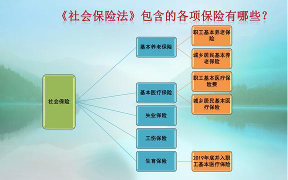 年轻人需要了解的五险知识：哪五险？有什么用？